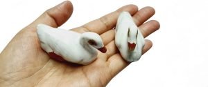 DMtse Ceramic Pair White Ducks Decor for Home Décor Porcelain Figurines Decoration for Happy Lucky Ceramic (2 1/8 inch Size) - Image 2