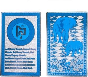 DMtse Feng Shui Blue Rhino Elephant Anti Burglary Deceived Talisman Card：圖片 2