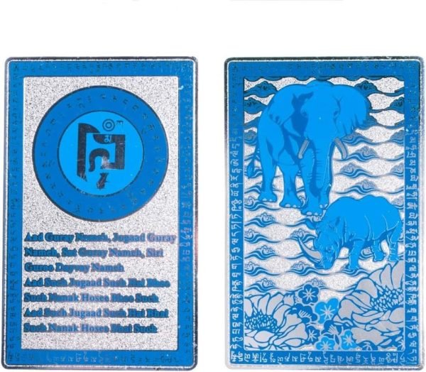 DMtse Feng Shui Blue Rhino Elephant Anti Burglary Deceived Talisman Card