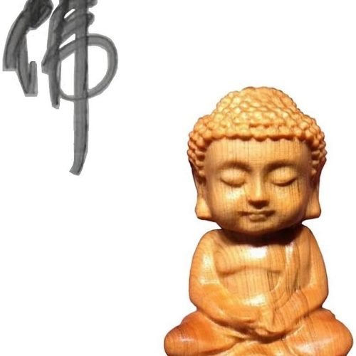 DMtse Hand Carved Natural Wood Buddha Statue Religious Buddhist Sitting Meditate Buddha Palm Size Sculpture Figurine