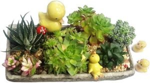DMtse 4 X Yellow Duck Ornaments Combination Mini Ceramic Crafts Desktop Home Decoration - Image 2