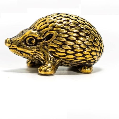 hedgehog1 (3)